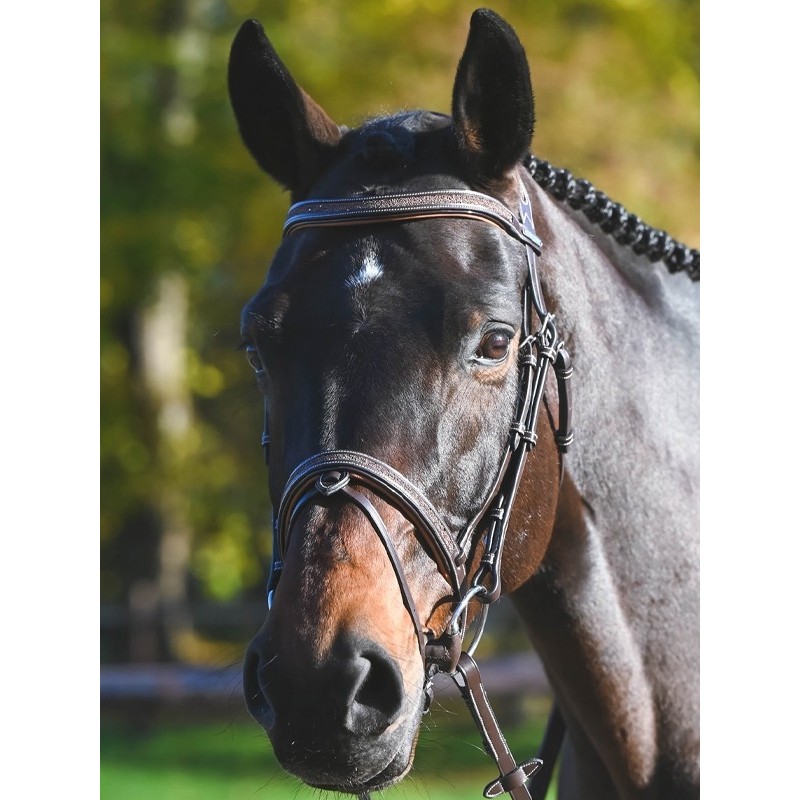 JUMPIN(ジャンピン) CARAT頭絡【ゴム手綱付き】