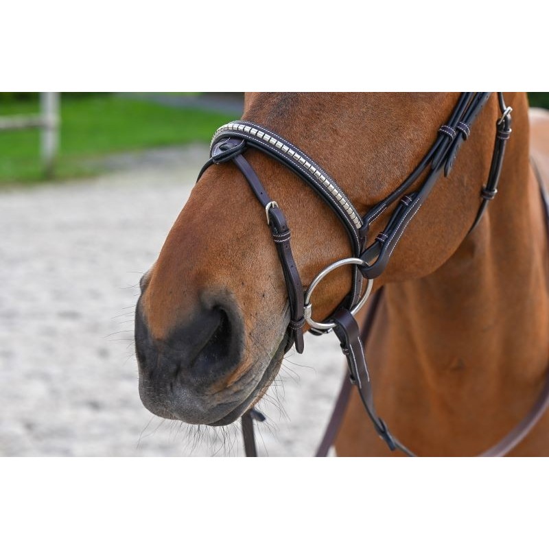 JUMPIN(ｼﾞｬﾝﾋﾟﾝ) クリンチャー頭絡【ゴム手綱付き】