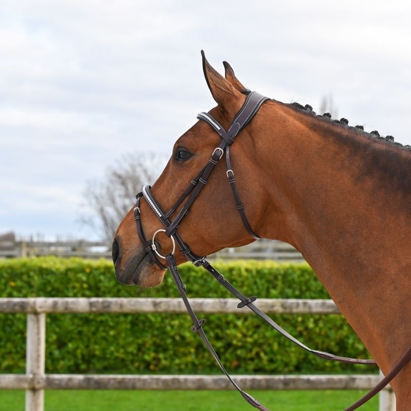 JUMPIN(ｼﾞｬﾝﾋﾟﾝ) クリンチャー頭絡【ゴム手綱付き】