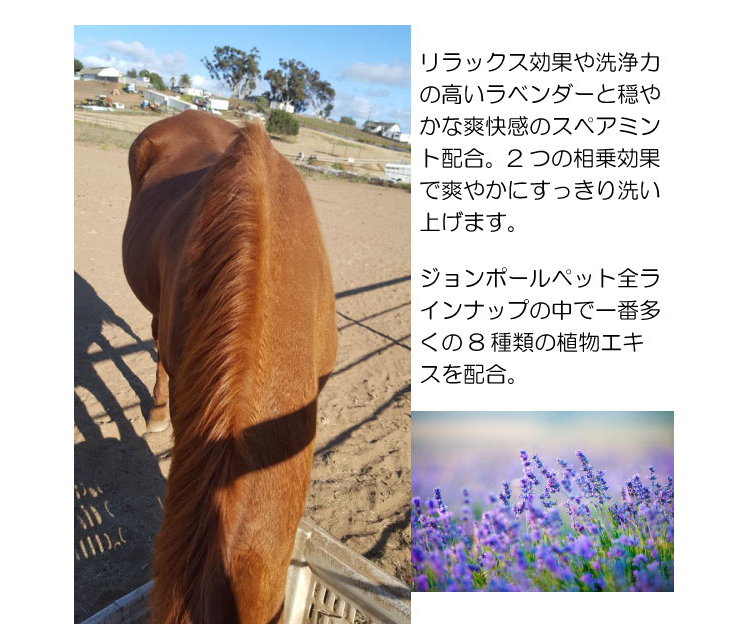 ポールミッチェル（ジョンポール）　ラベンダーミントシャンプー