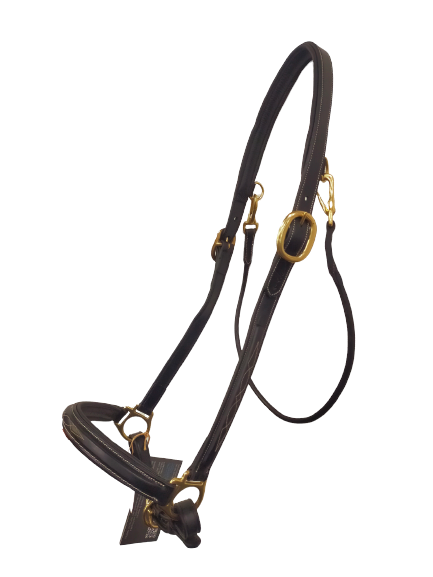 ディオン グルーミングレザーホルター