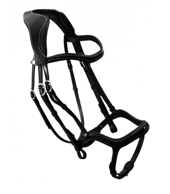 アンタレス　Precision頭絡　Ynose