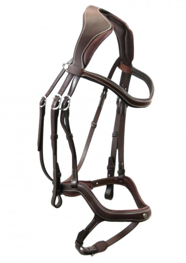 アンタレス　Precision頭絡　Ynose