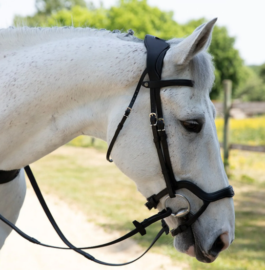 アンタレス　Precision頭絡　Ynose