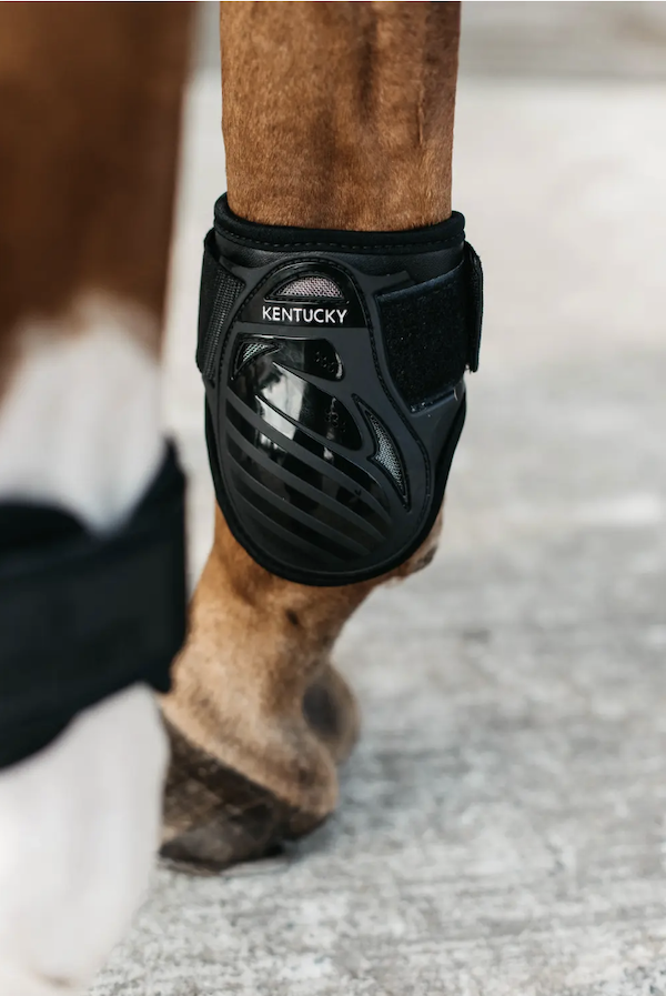 ケンタッキー ヤングホースフェットロックブーツ(後肢)