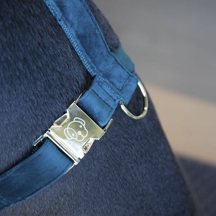 【SALE 40% OFF 】  ケンタッキー ハーネス　ベルベット