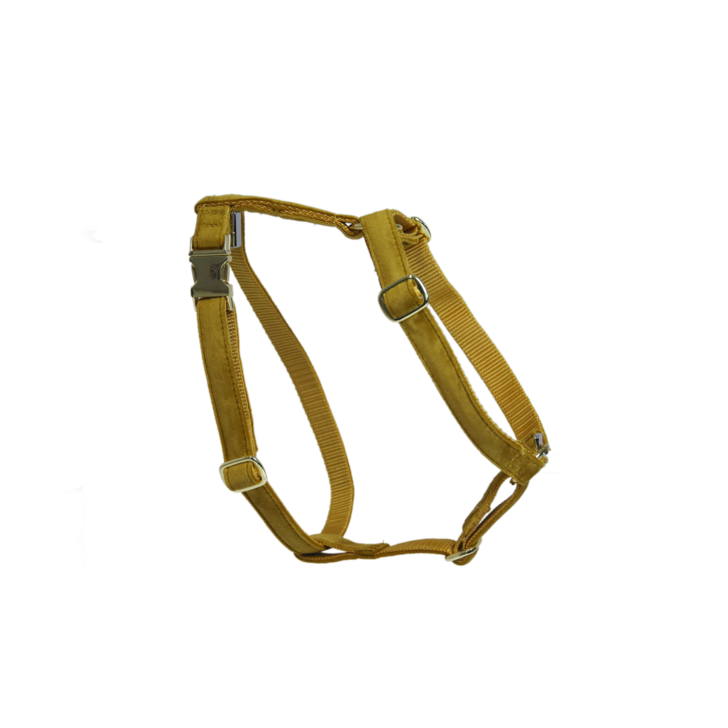 【SALE 40% OFF 】  ケンタッキー ハーネス　ベルベット