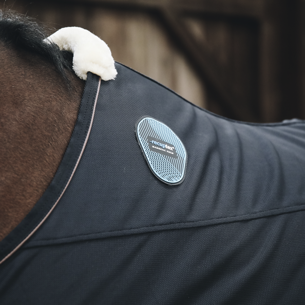 ケンタッキー　マグネティックラグ