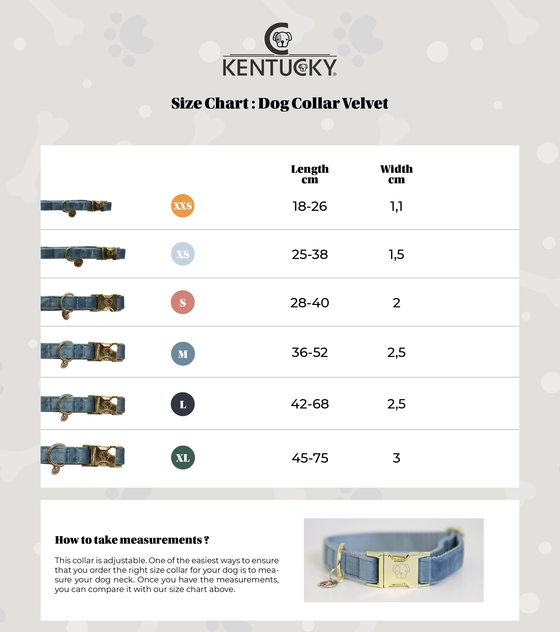【SALE 40% OFF 】 ケンタッキー　ドッグカラー ベルベット　（犬用首輪）