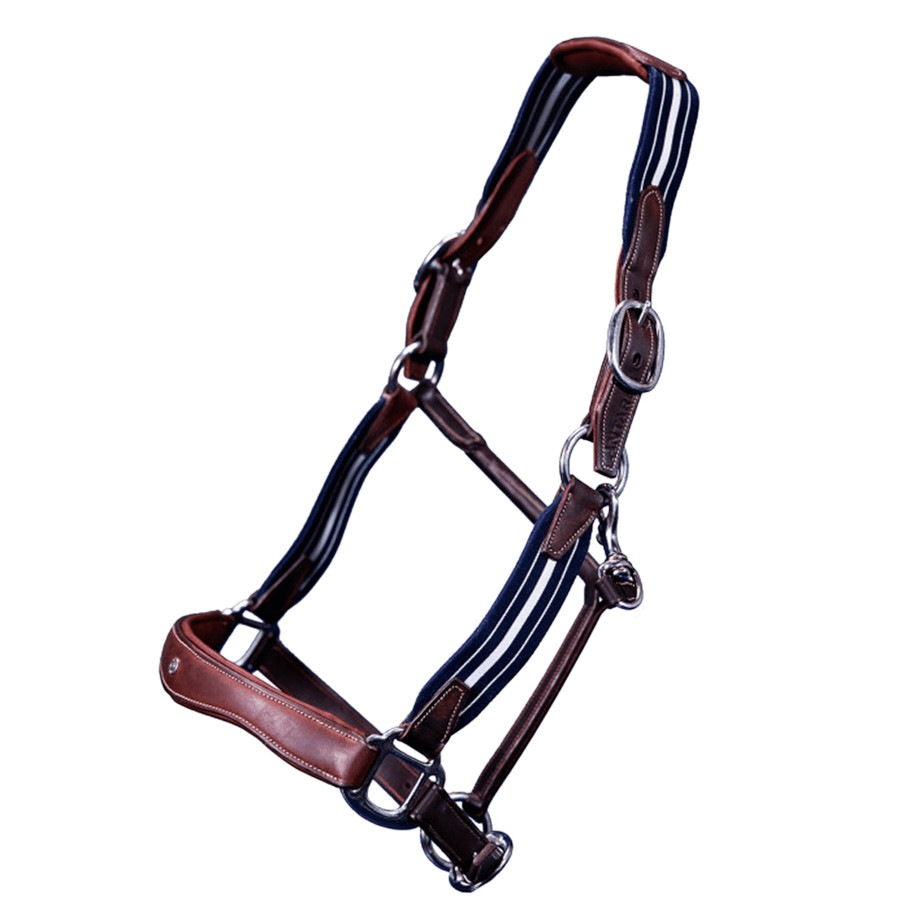 アンタレス　ストレスレスホルター