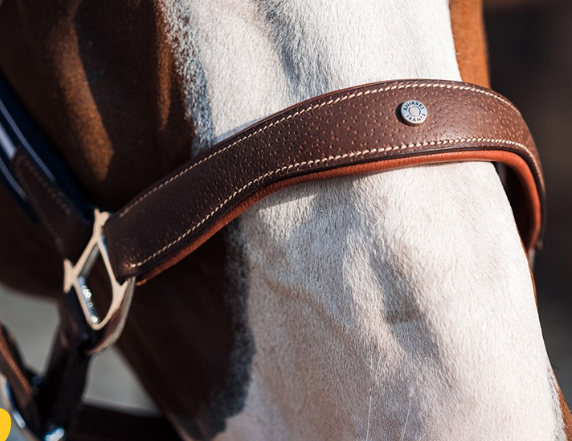 アンタレス　ストレスレスホルター