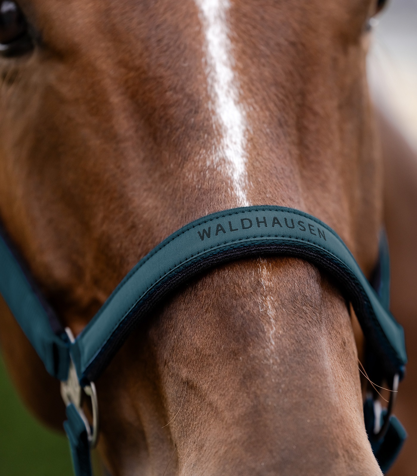 Athletic(アスレチック) ホルター