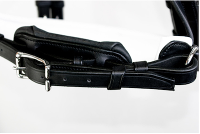 アンタレス　大勒頭絡