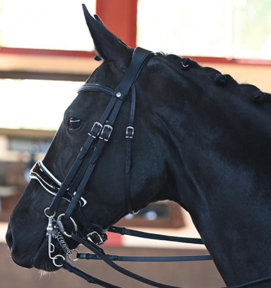 アンタレス　大勒頭絡