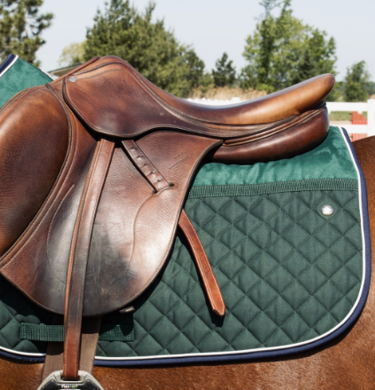 オギルヴィー メモリーフォーム　MF　パッドゼッケン　(障害用)