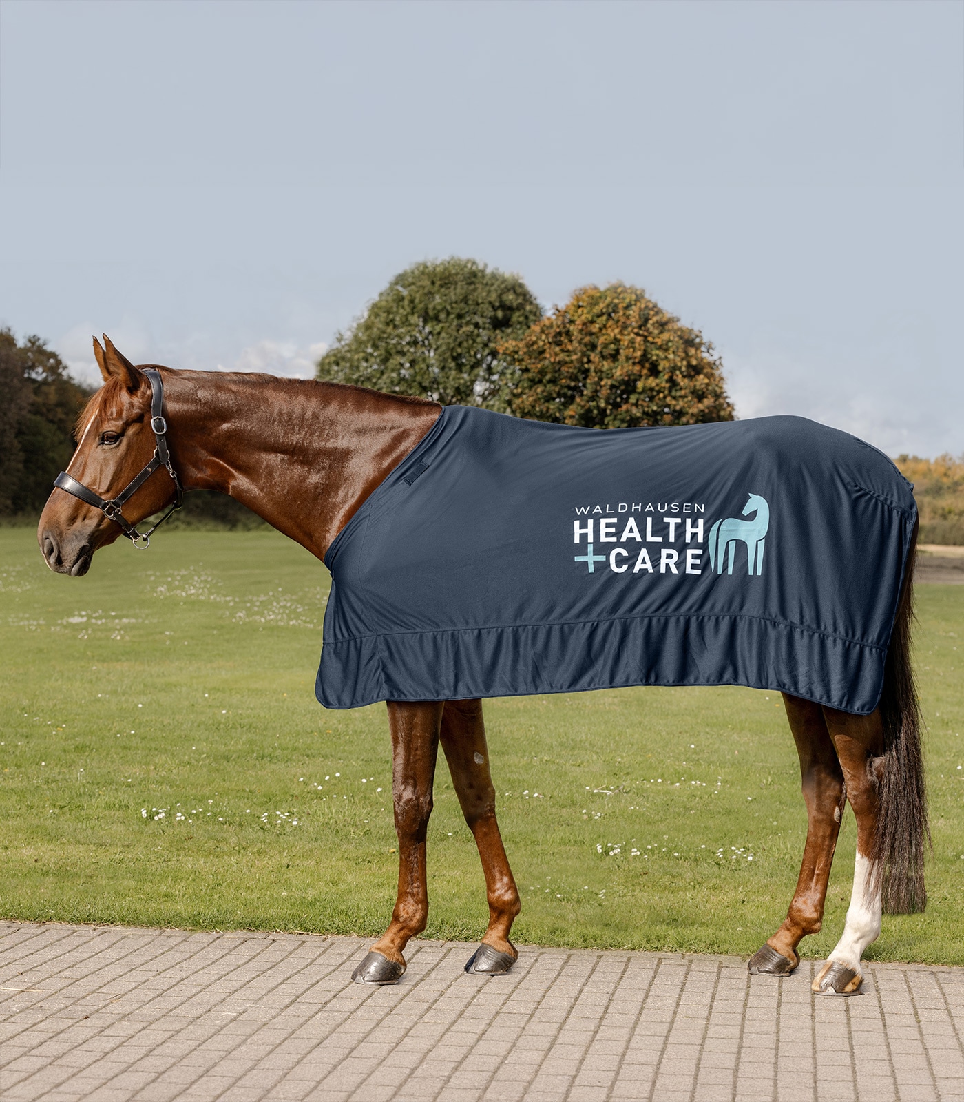 Health+care Iceラグ｜乗馬用品・馬具なら中江物産通販サイト
