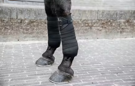 ケンタッキー　エラスティックバンテージ