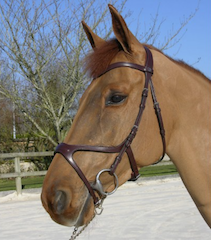 ディオン　X-FIT頭絡