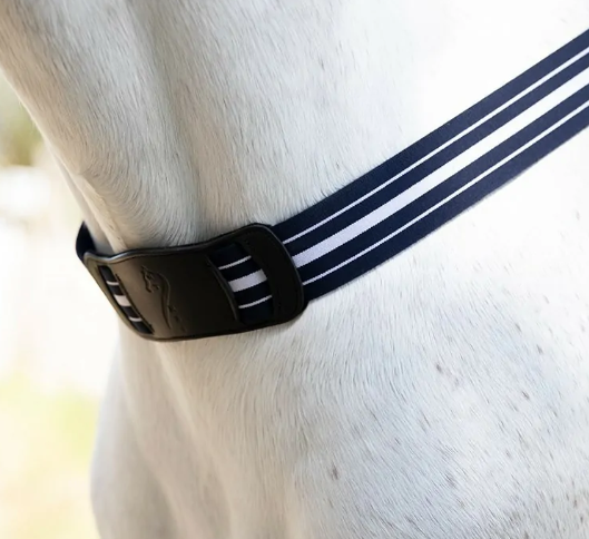 アンタレス　一本胸ガイ