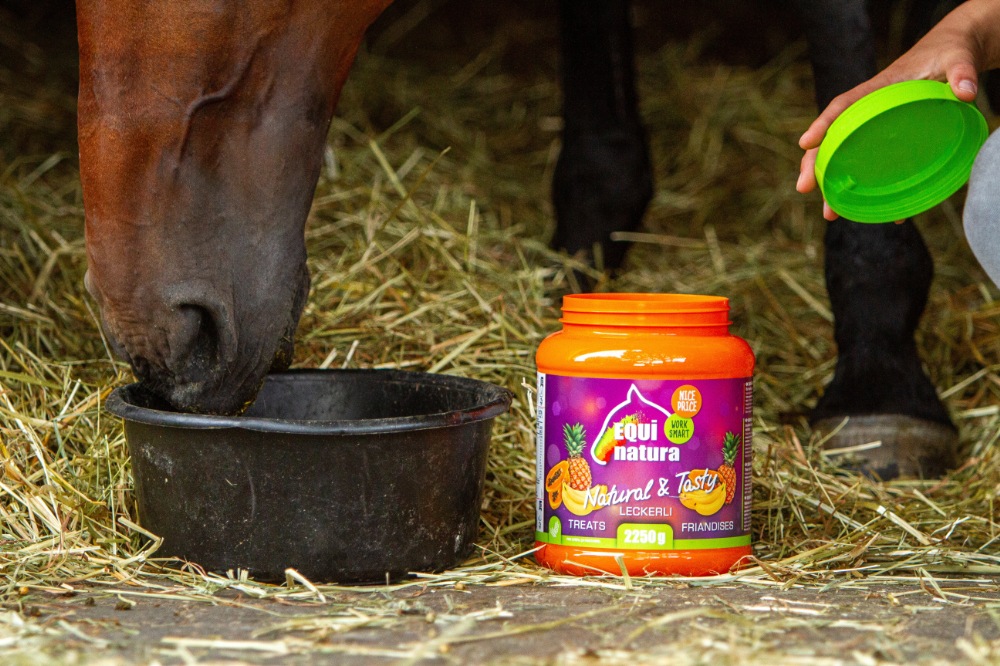 EQUINATURAホーススナック