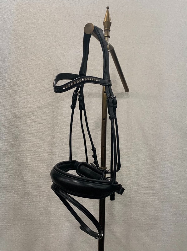 【SALE20％OFF】ディオン スペシャルドレッサージ水勒頭絡(丸革仕様) Black/OVER