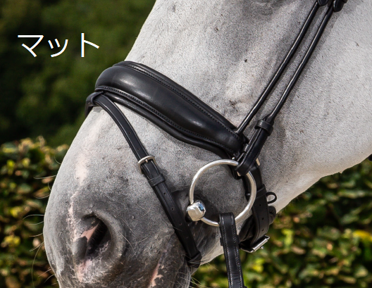 【SALE20％OFF】ディオン スペシャルドレッサージ水勒頭絡(丸革仕様) Black/OVER