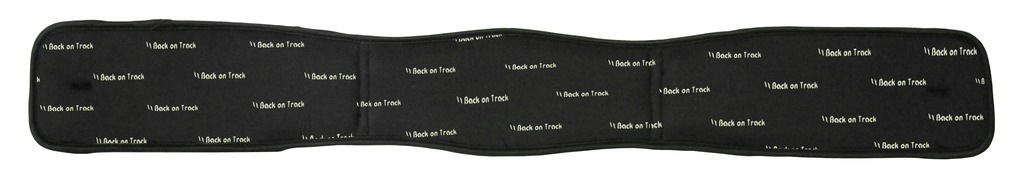 Back on Track（バックオントラック） ドレッサージガース