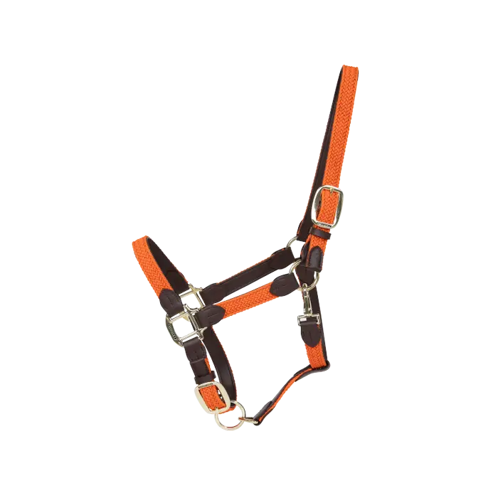 ケンタッキー ナイロンホルター Plaited