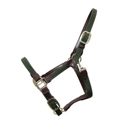 ケンタッキー ナイロンホルター Plaited