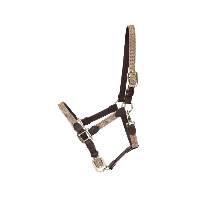 ケンタッキー ナイロンホルター Plaited