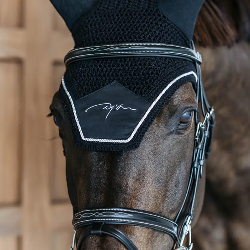 ディオン　ダイヤモンド イヤーネット