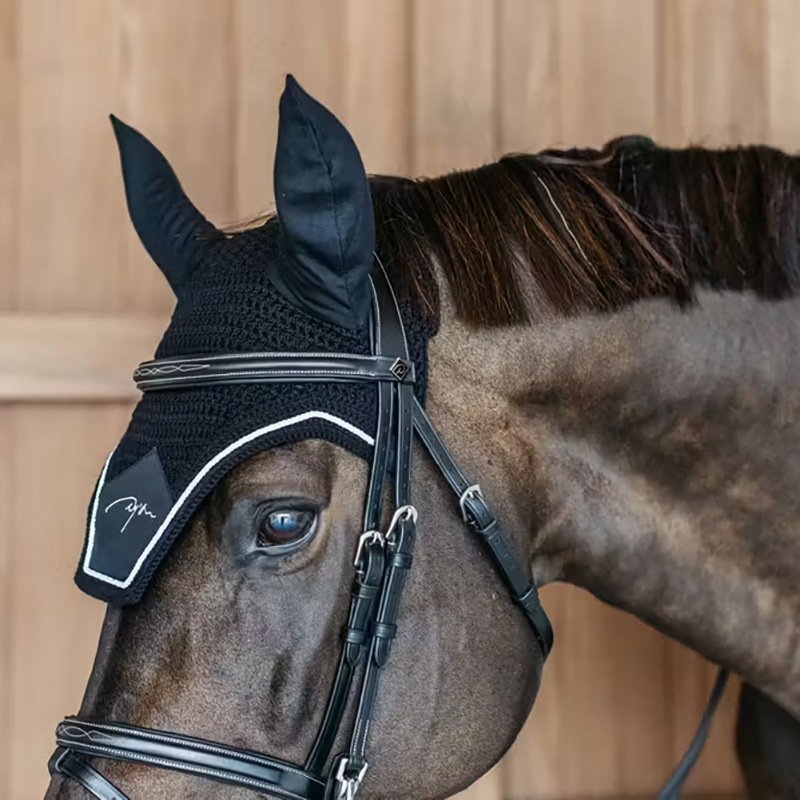 ディオン　ダイヤモンド イヤーネット