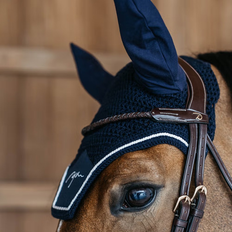 ディオン　ダイヤモンド イヤーネット