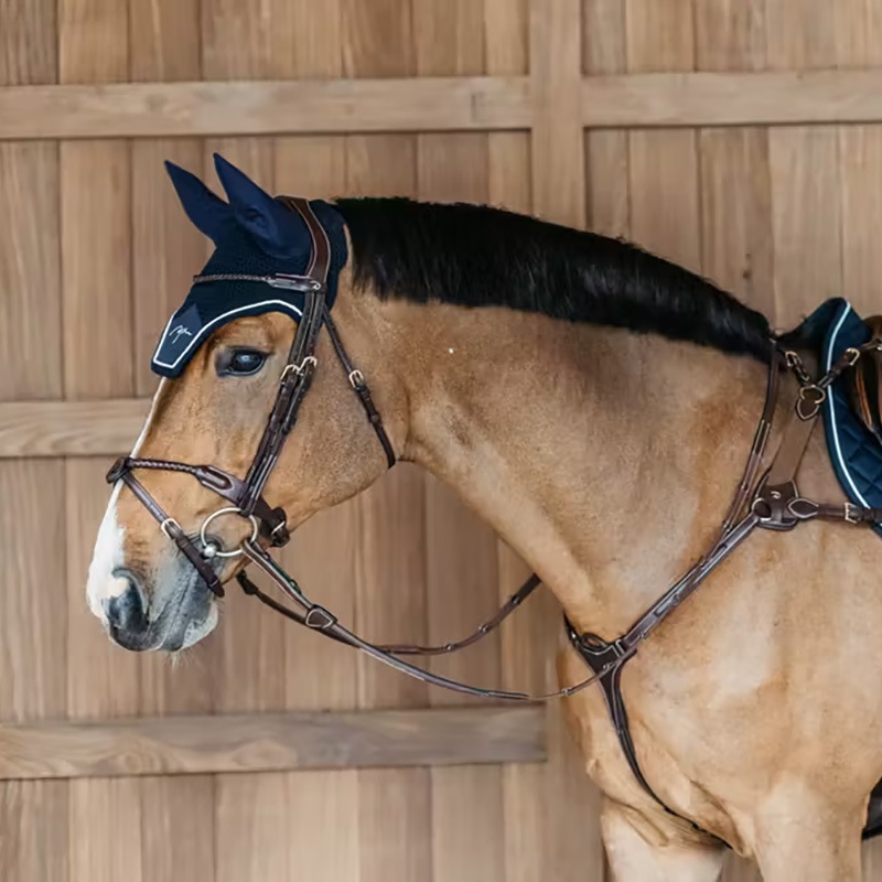 ディオン　ダイヤモンド イヤーネット
