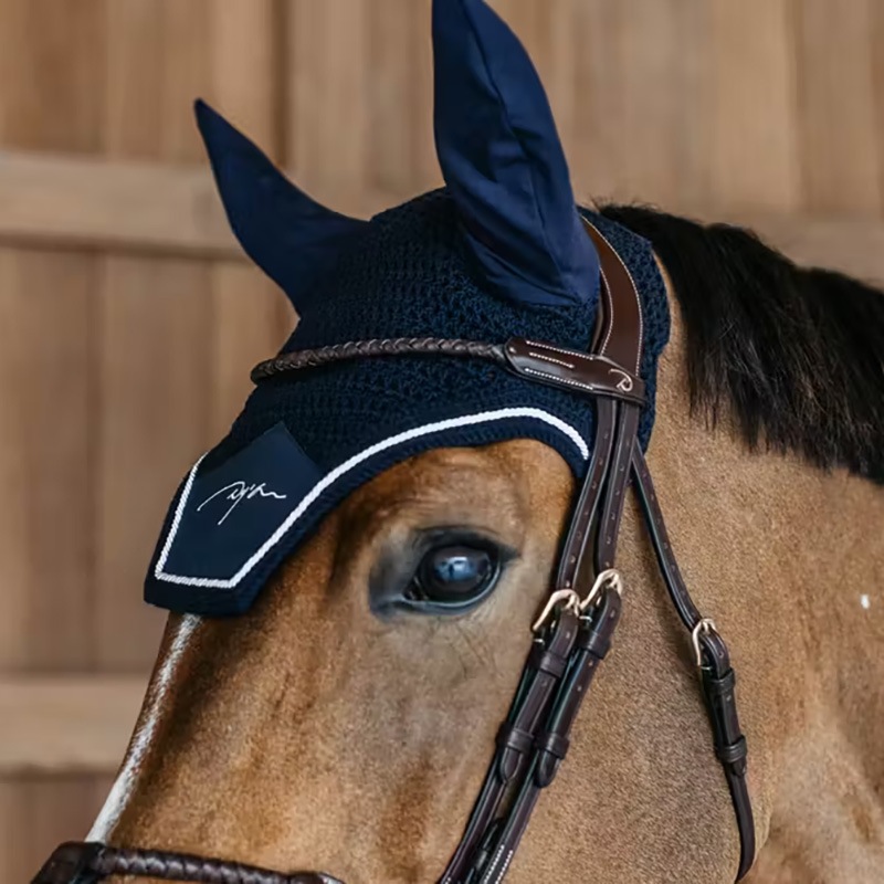 ディオン　ダイヤモンド イヤーネット