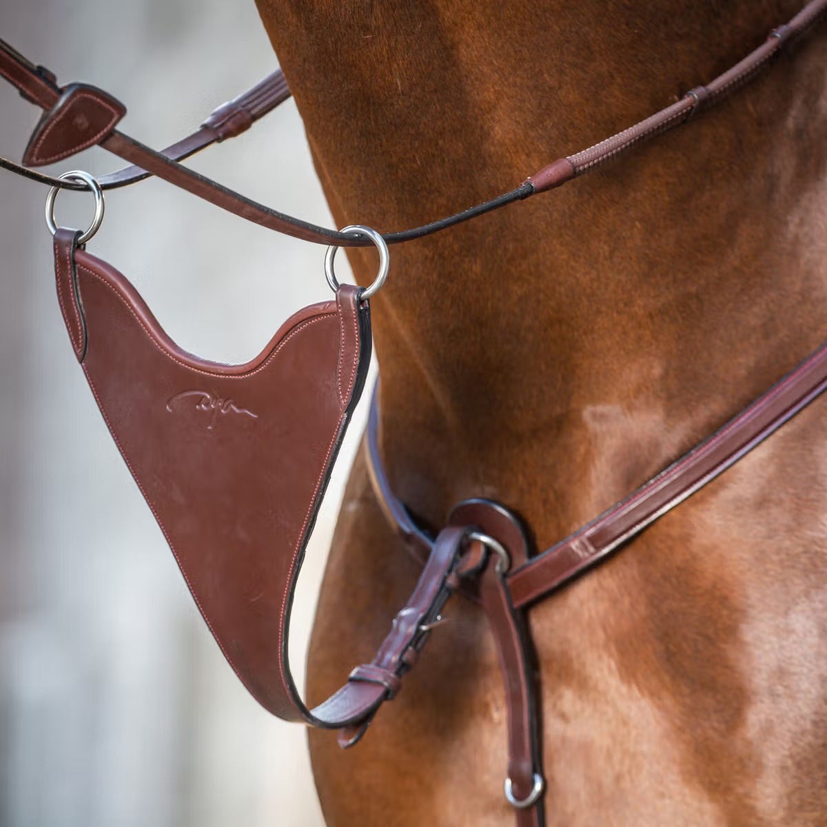 【WEB限定】ディオン　ハードビブマルタン(銀尾錠)