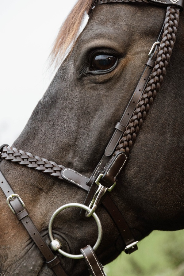ディオン　WO　Plaited　トレーニング頭絡　(銀尾錠)