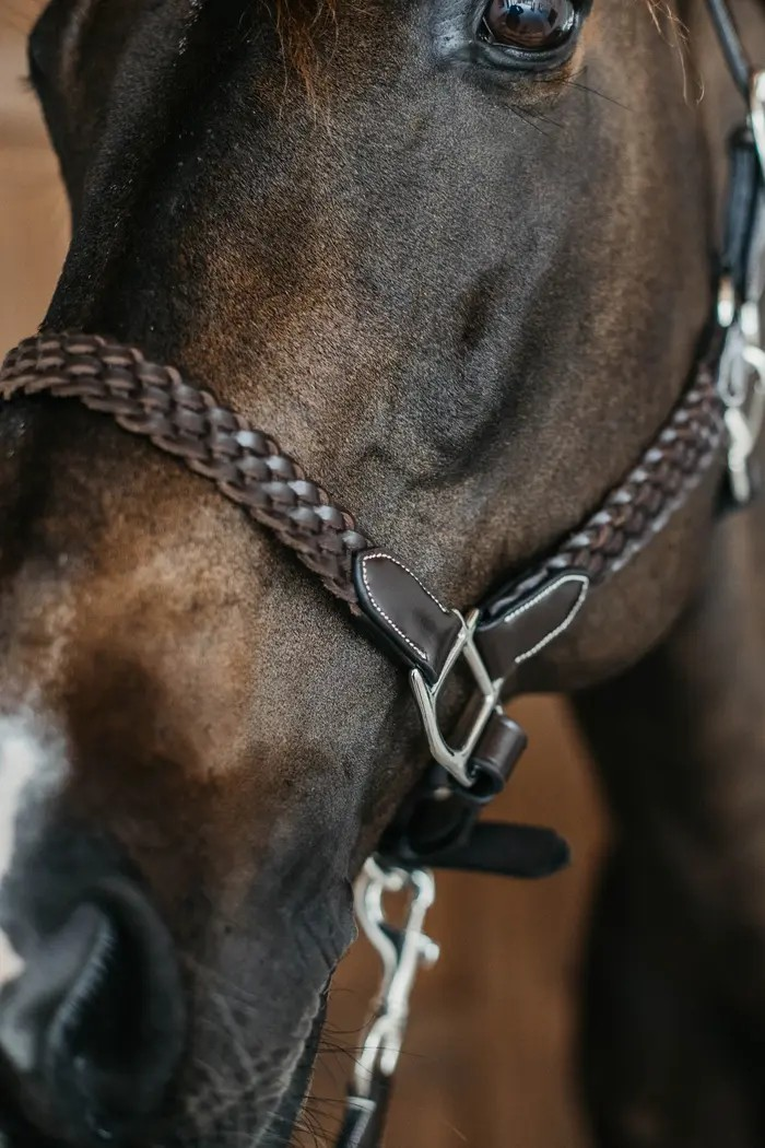 ディオンWO　Plaitedレザーホルター