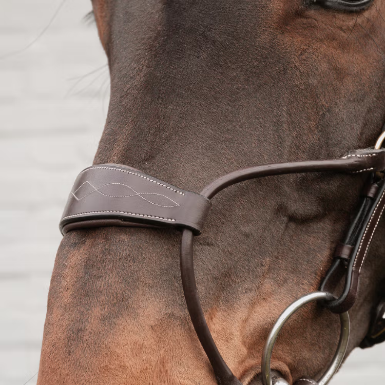 ディオン ハイブリッド鼻革