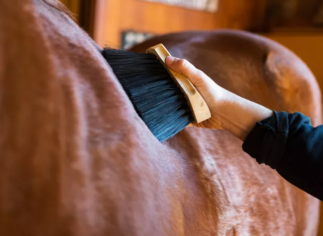 ナイロンロングブラシ