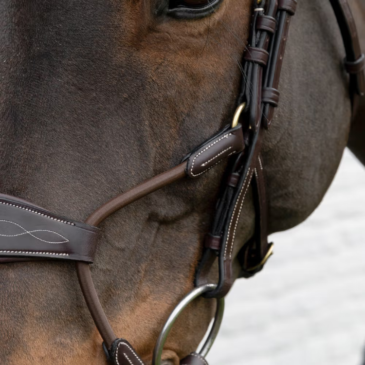 ディオン エラスティックハイブリッド鼻革