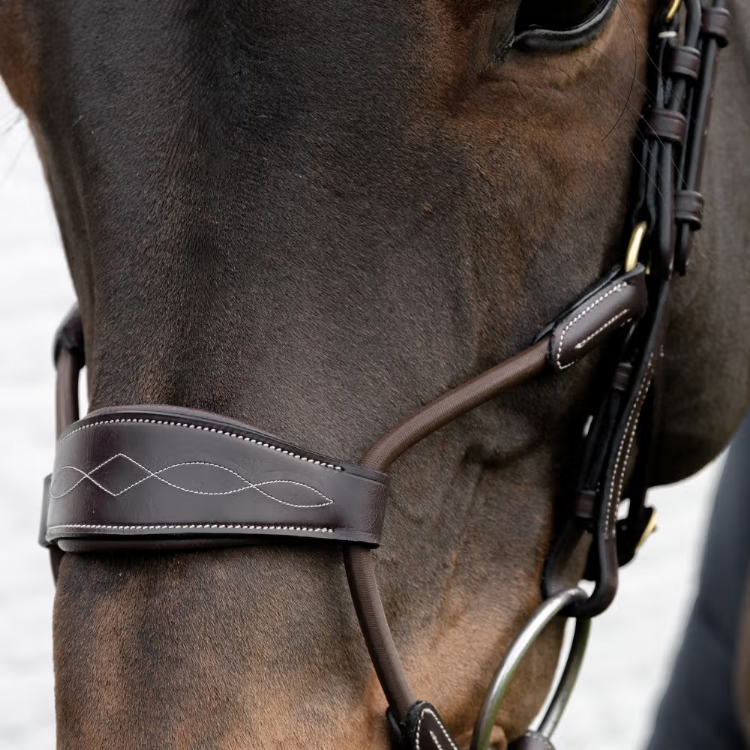 ディオン エラスティックハイブリッド鼻革