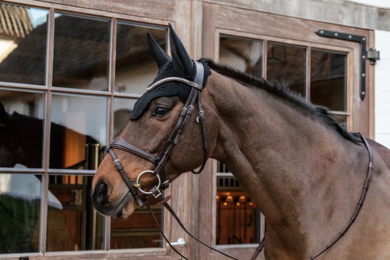 ケンタッキー サウンドレス イヤーネット （COBサイズのみ）