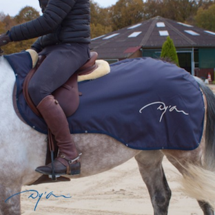 ディオン エクササイズシート 3in1｜乗馬用品なら中江物産通販サイト