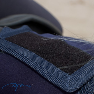 ディオン　エクササイズシート 3in1