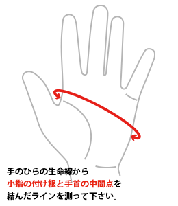 ルーベスグローブ EXモデル