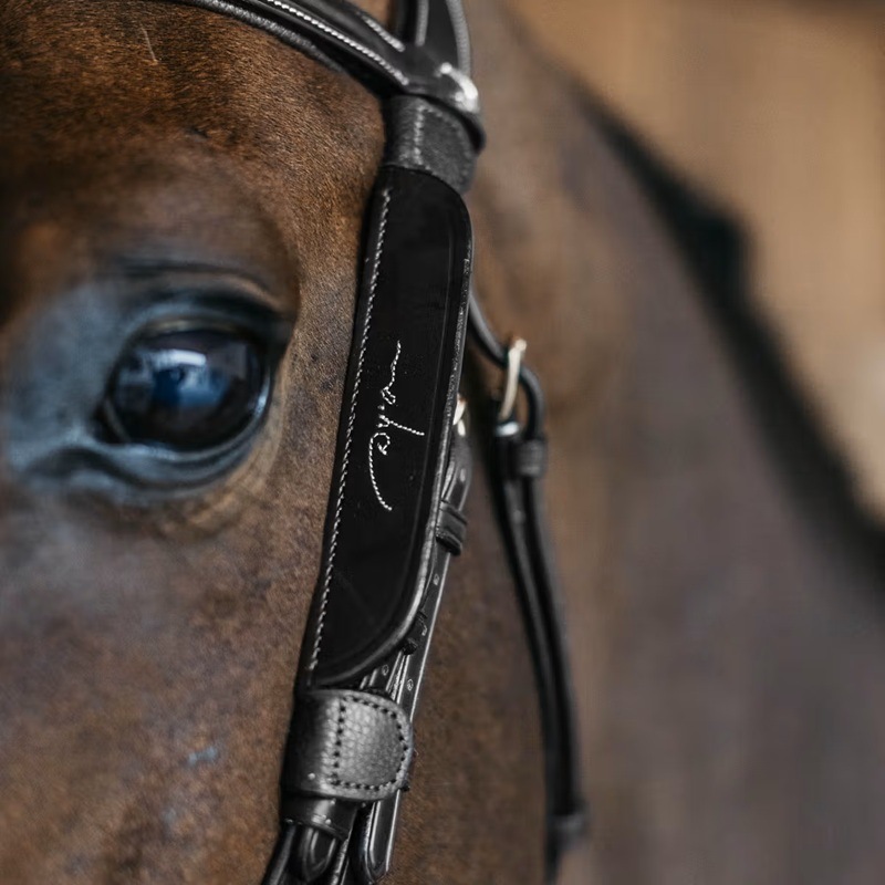 ディオン Fancy ブリンカー