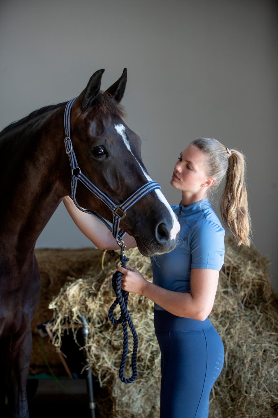 HG　Taroホルター