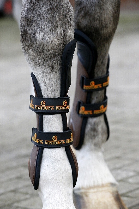 ケンタッキー ニーテンドンブーツ(前肢)