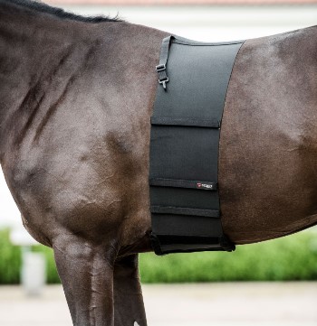 カタゴ　ボディシールド　（拍車傷防止カバー）